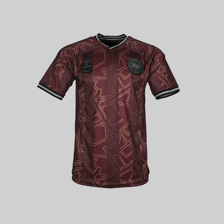 Denmark 2024 HALO Special Shirt