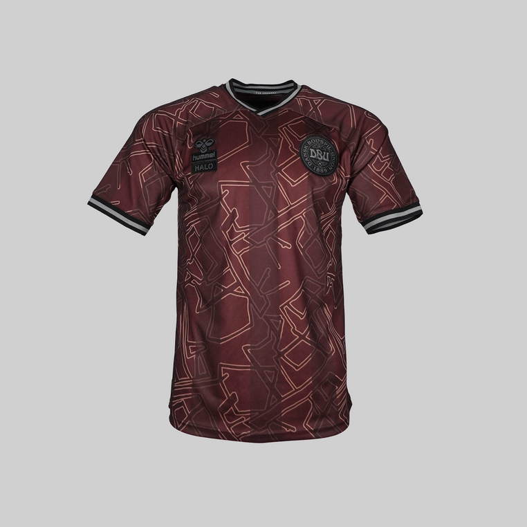 Denmark 2024 HALO Special Shirt