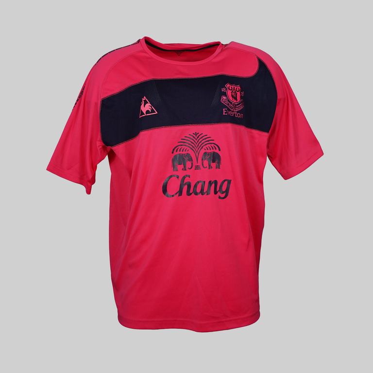 Everton 2010/2011 - Away Shirt