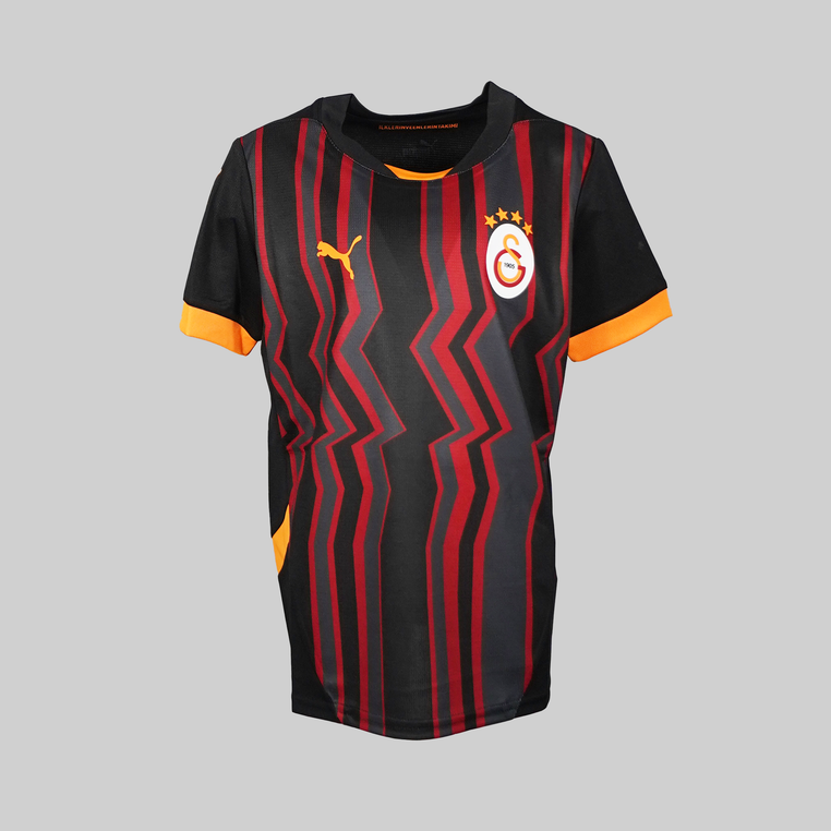 Galatasary 2024/2025 Third Shirt