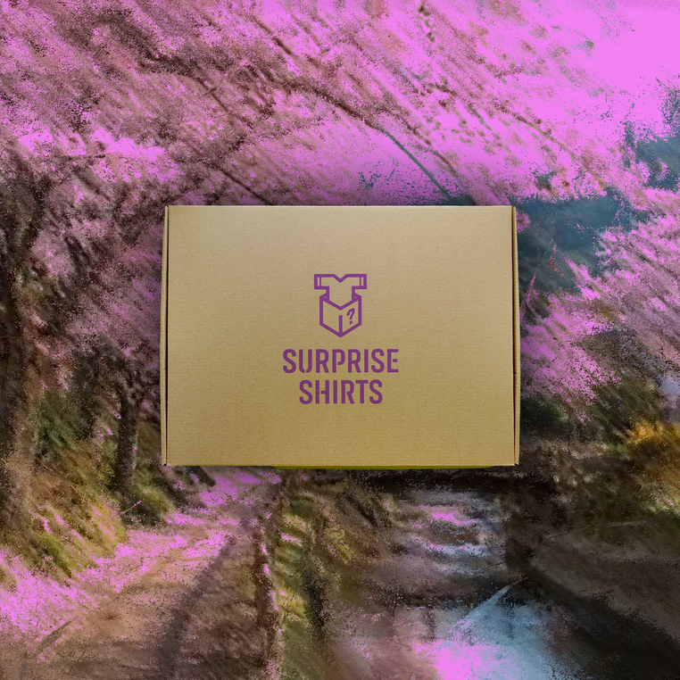 Surprise Shirt Box | Collector's Edition | Japan Kids Box
