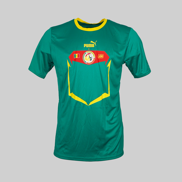 Senegal World Cup 2022 Away Shirt